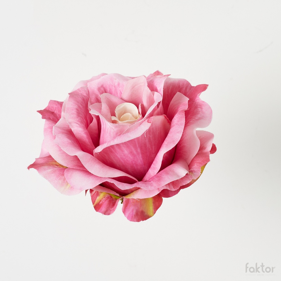 Róża, Pink w/Beige Center B52-063