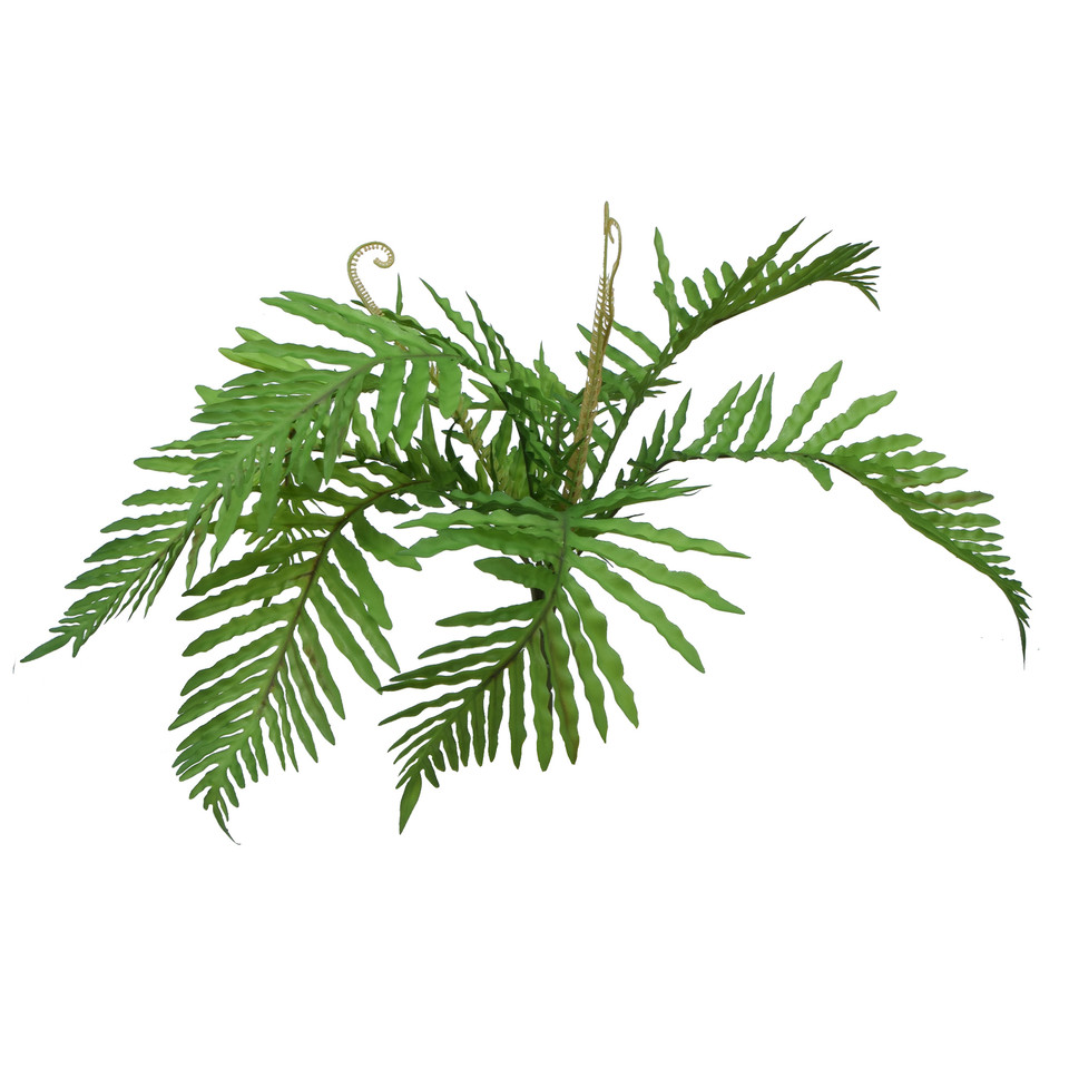 Palma - bukiet 50 cm R676-00