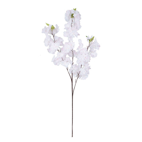 Apple-tree GK262