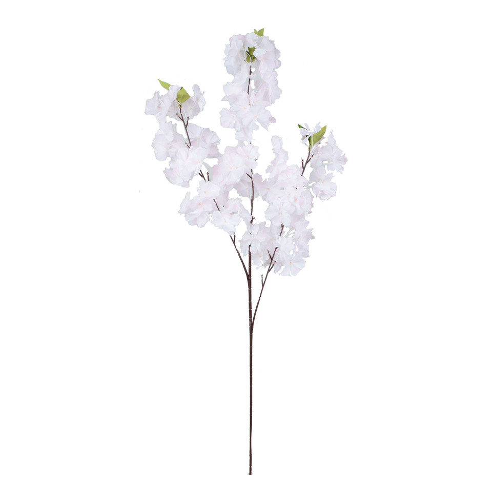 Jabłoń, Pink GK262-03