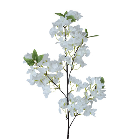 Wiśnia, Cream BGK407-03