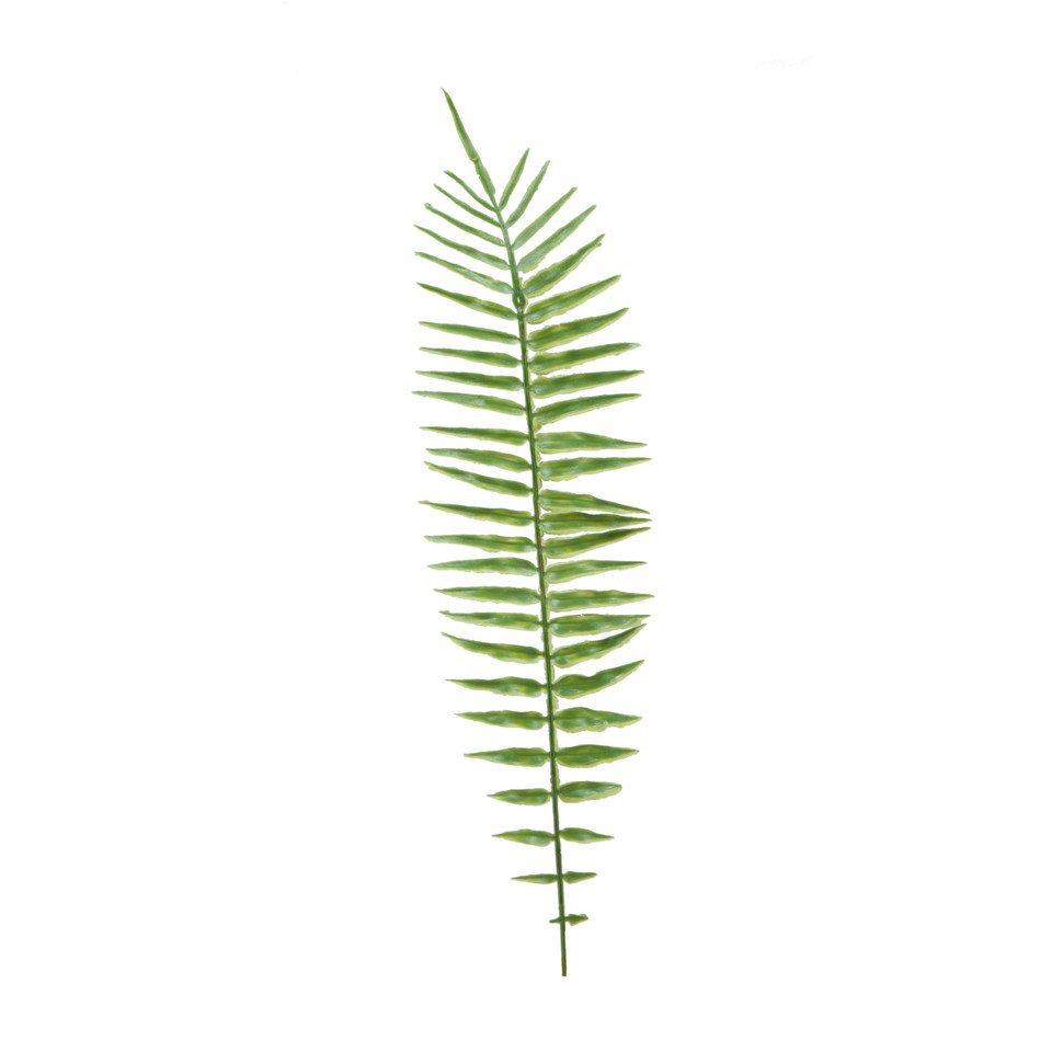 Paproć - liść 52 cm, green L499-00
