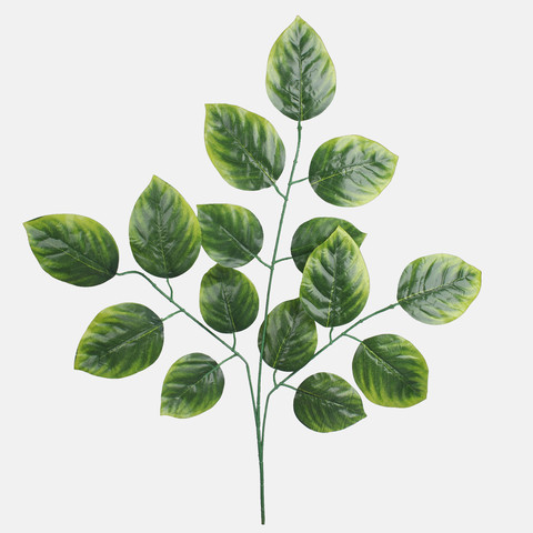 Linden F236