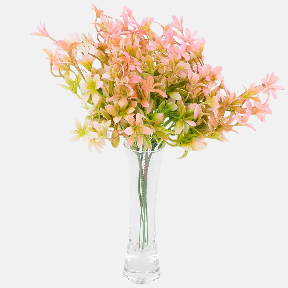Rozchodnik, Pink FB58-02