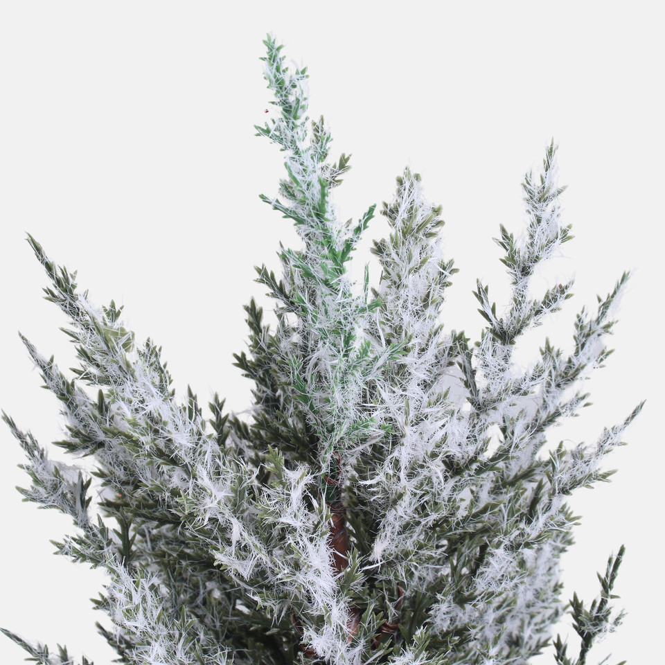Snow-covered juniper in a pot, Frosted Green S944-01