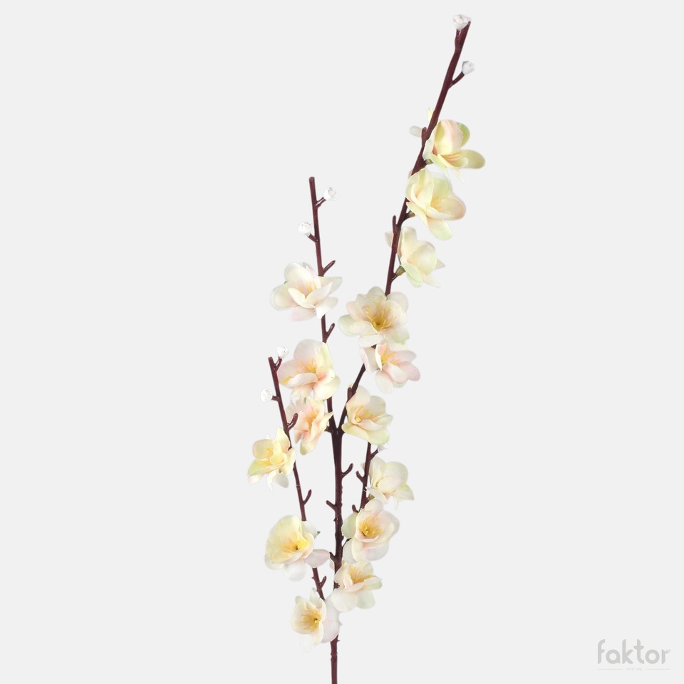 Cherry Blossom, Lt. Yellow G209-05