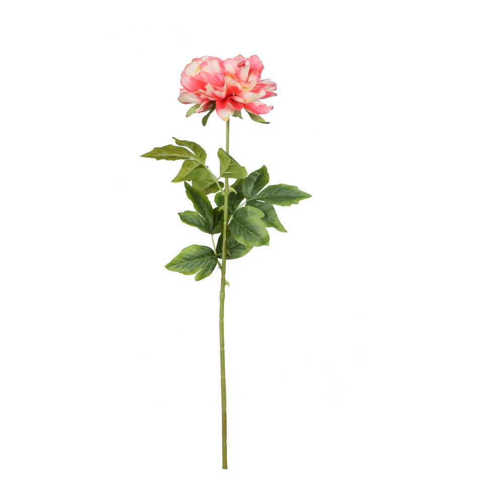 Peonia - gałązka 68 cm, m K415-m