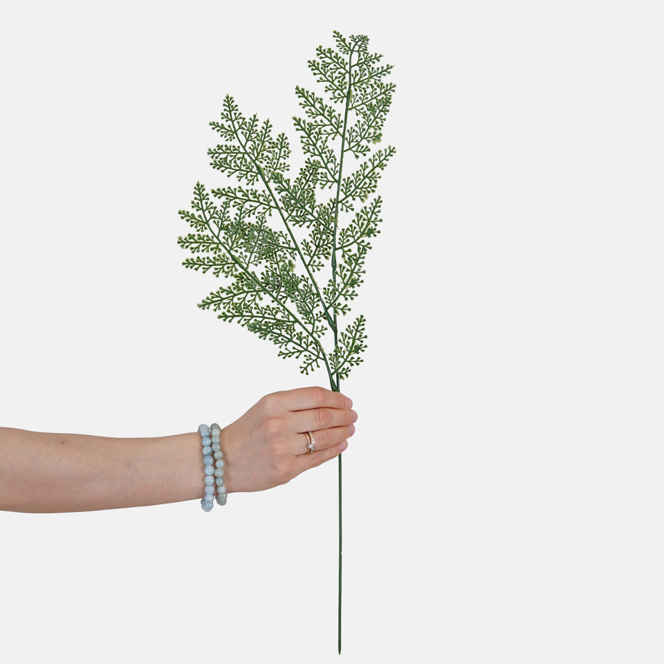 Fern, Green A733-01