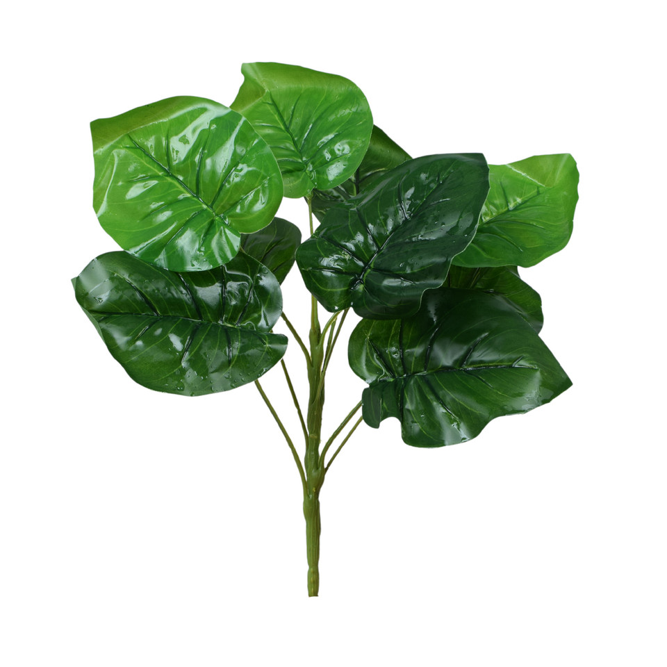 Filodendron - bukiet 34 cm, green R666-00