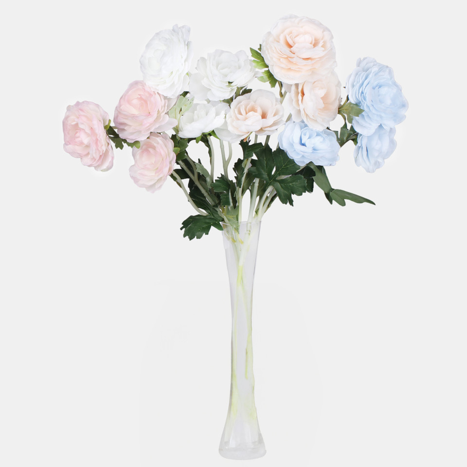 Kamelia x 3, Mix 1 L823-01