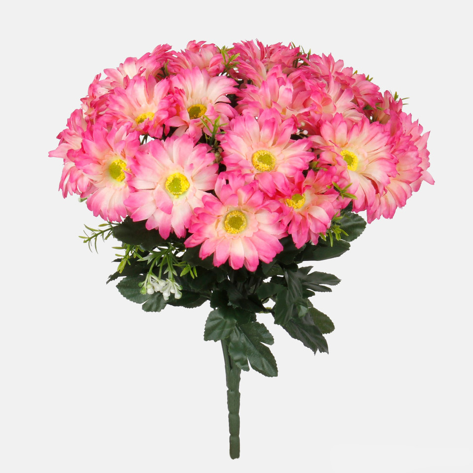 Gerbera x 24, Pink/Cream/Dk. Pink Edge QA078-03
