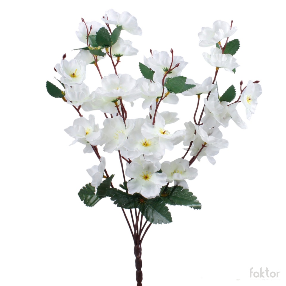Apple-tree x 7, Cream QA054-06