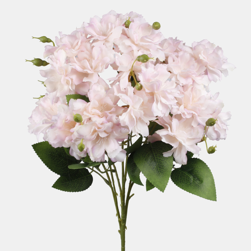 Azalia, Lt. Peach/Lt. Pink L894-03