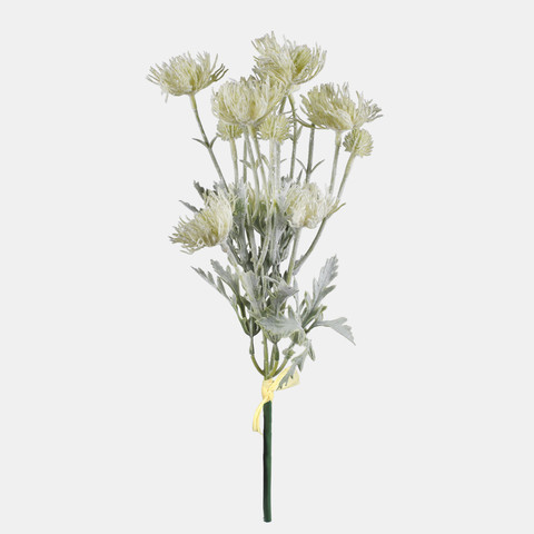 Thistle, Green QA301-02