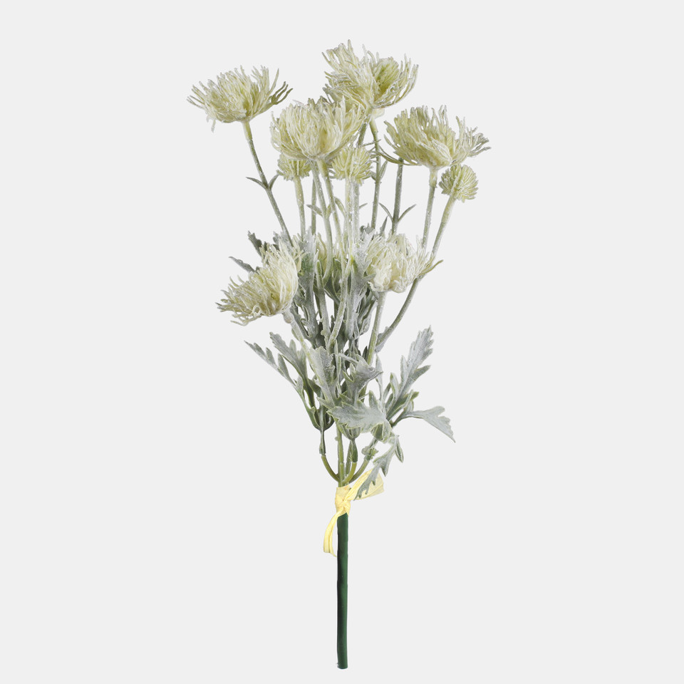 Oset, Green QA301-02