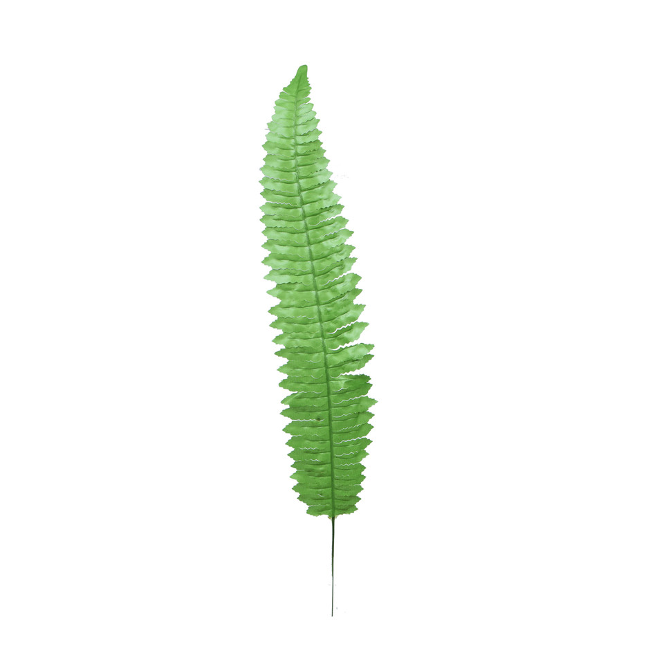 Paproć - liść 55 cm, green L490-01