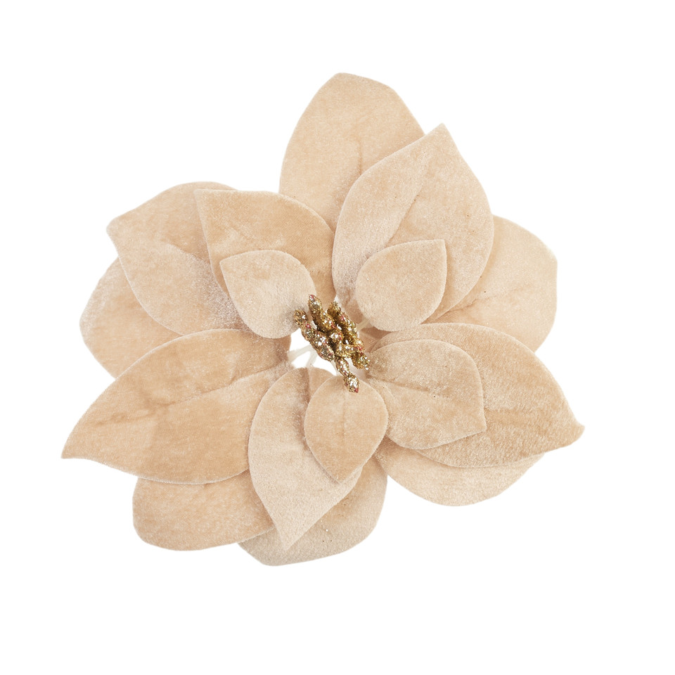 Poinsecja główka welurowa 20 cm, 04 beige Y106-04