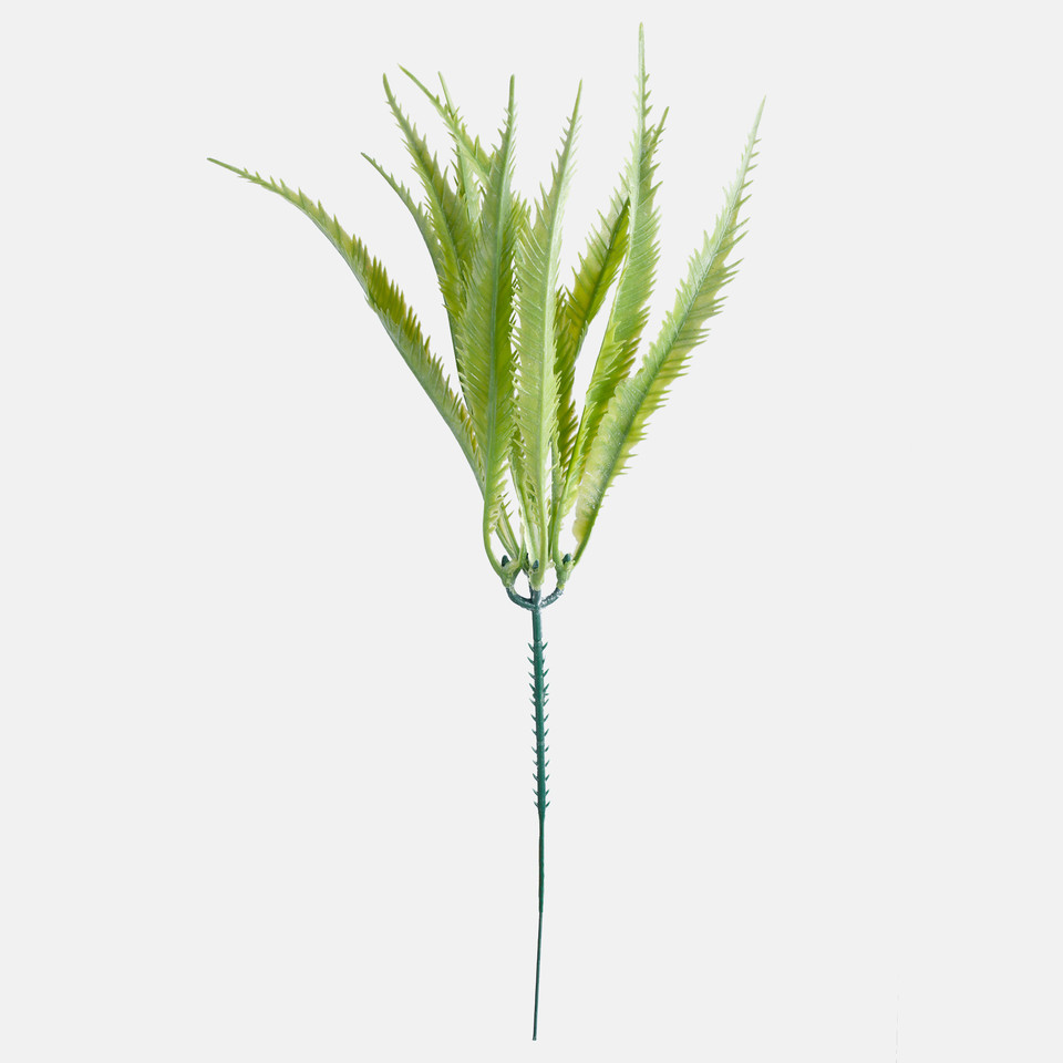 Aloe, Lt. Green A346