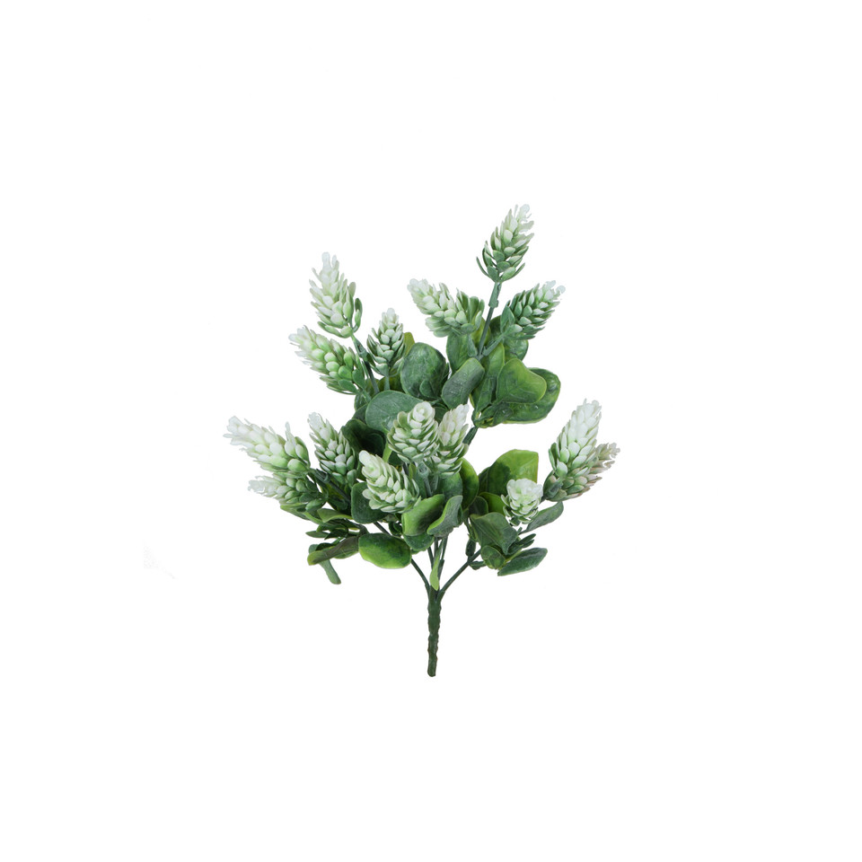 Chmiel - bukiet 30 cm, m R575-m