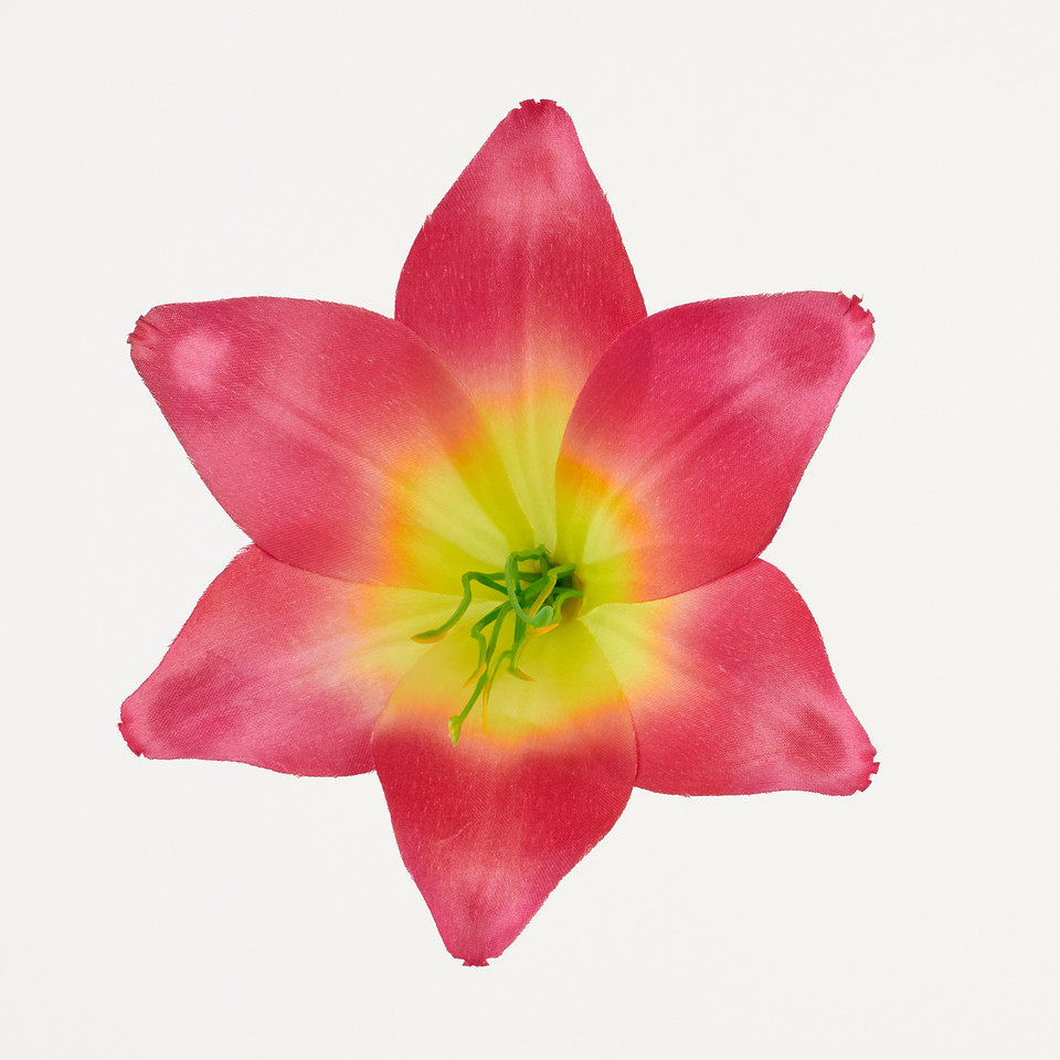 Lilia – główka satyna, plum yellow B276-019