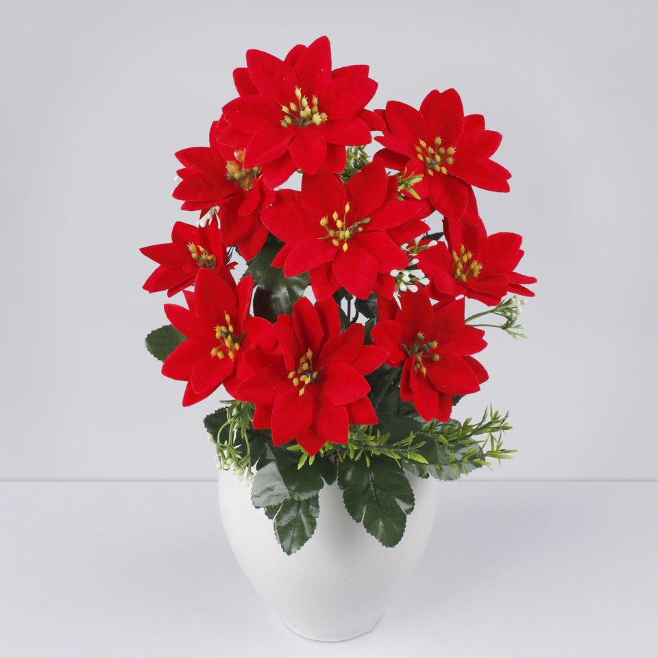 Poinsettia x 9, Red QA299S-01