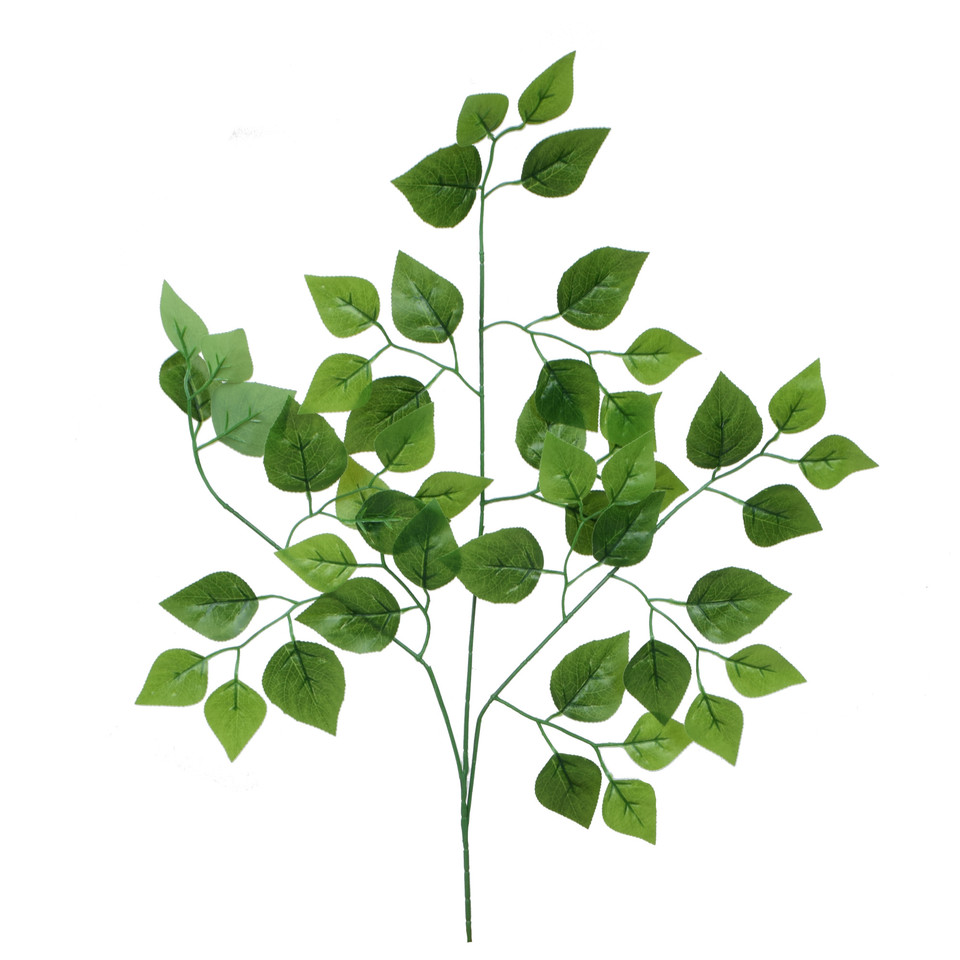 Brzoza - gałązka liściasta 70 cm, green R435-00