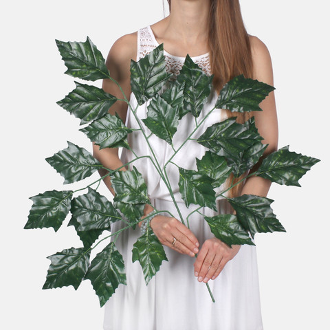 Plane-tree F180 (Product size)