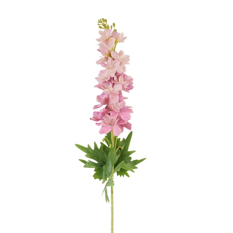 Delphinium - twig AL173