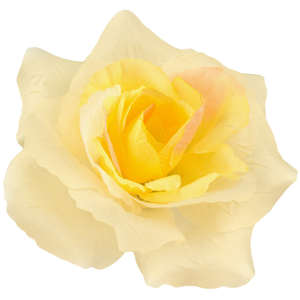 Róża francuska, Lt. Yellow/Peach Center W087-32