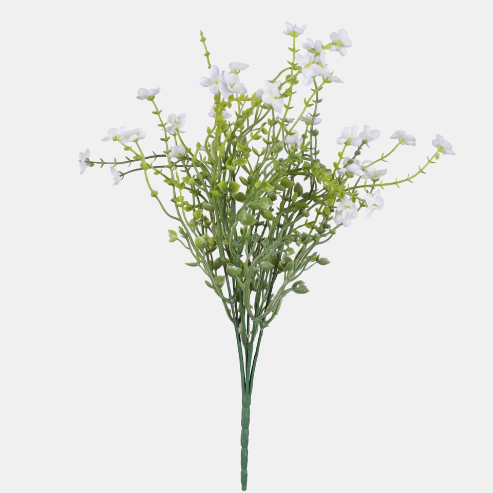 Niezapominajka bukiet x 6, Pure White A724-07