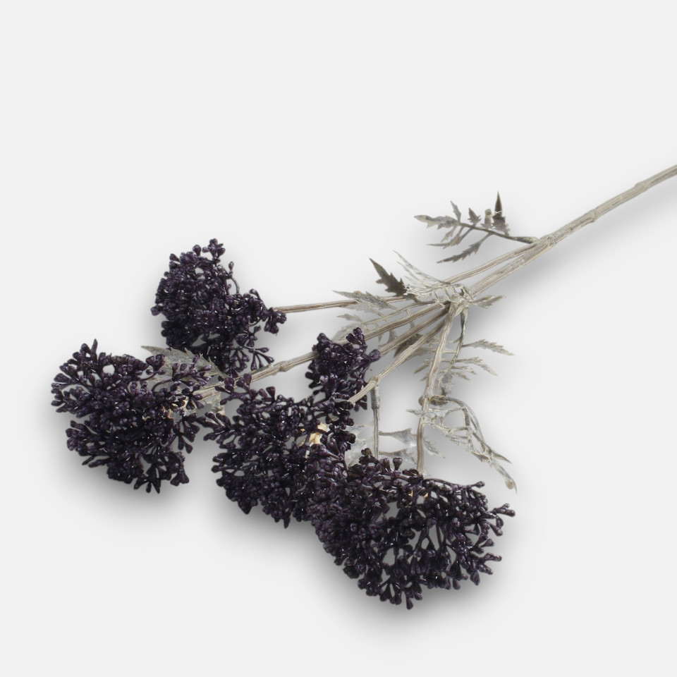 Krwawnik, Violet L922-06