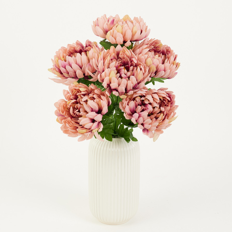 Chryzantema x 7, Autumn Pink D76-25