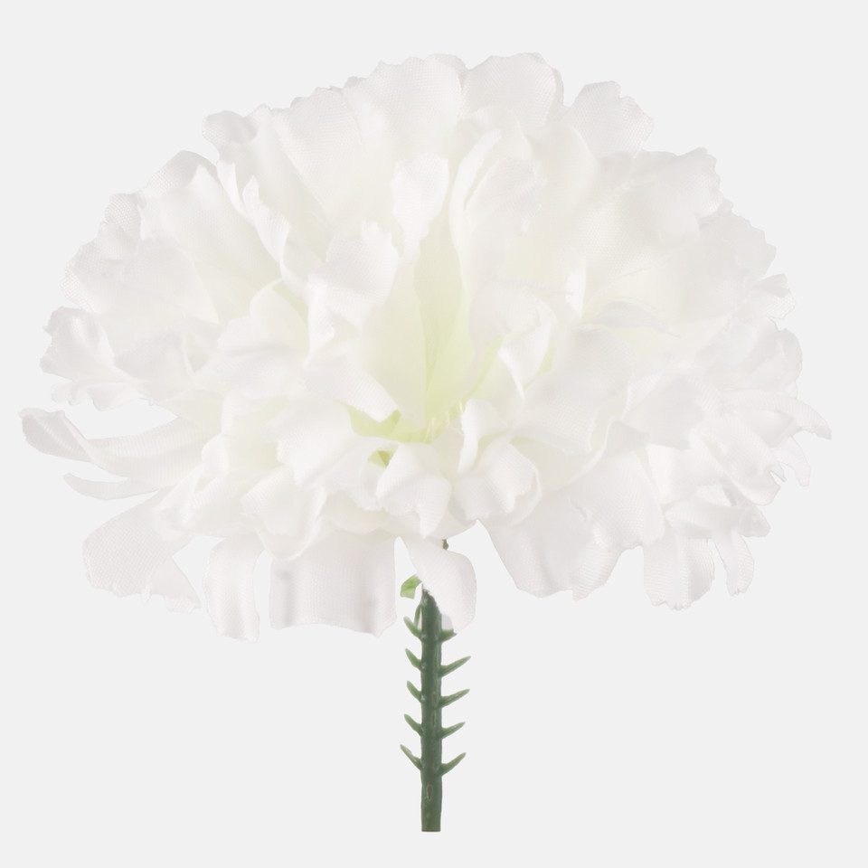 Carnation on the peak, Cream W721-02