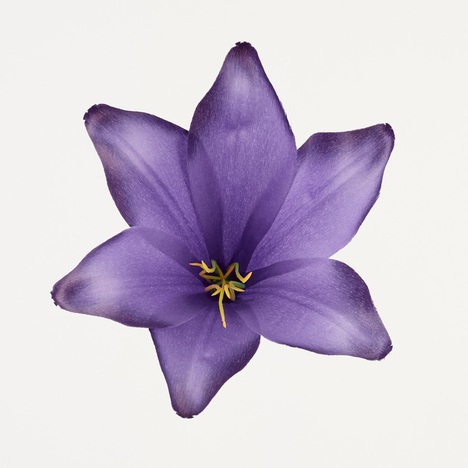 Lilia – główka satyna, violet B276-026