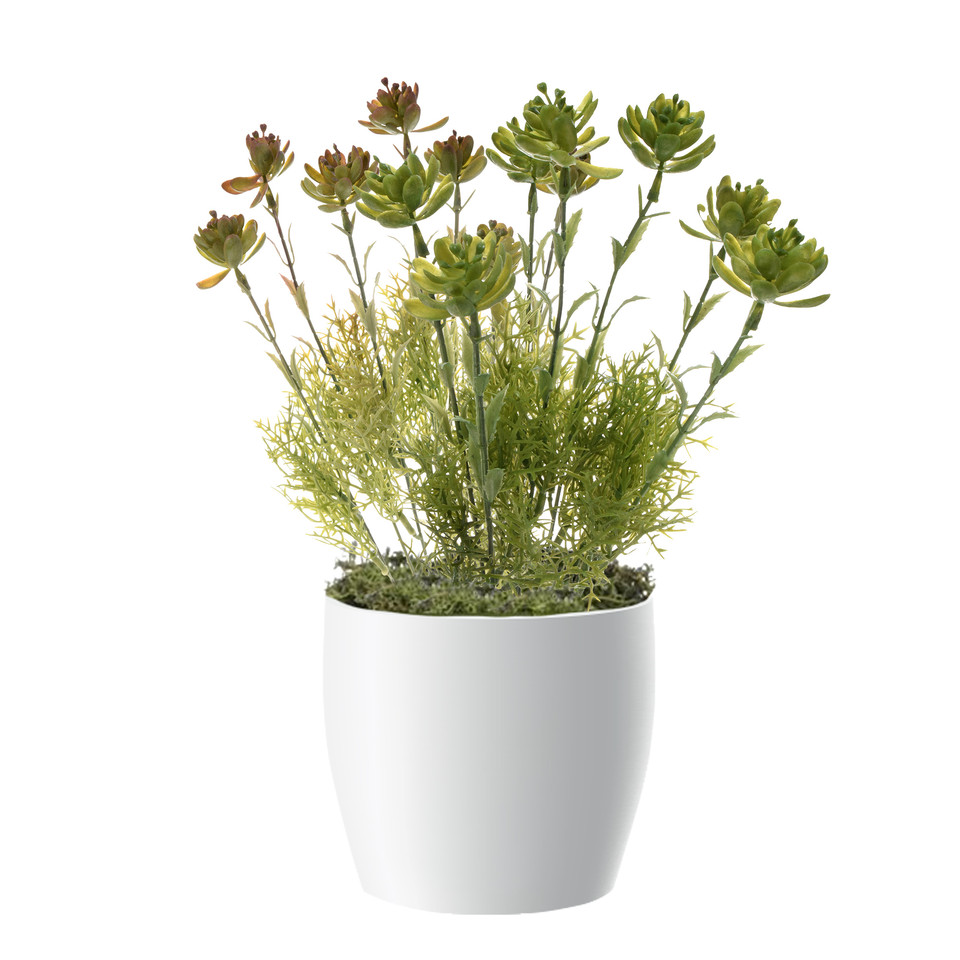 Sukulenty - bukiet 46 cm, green/red R149-01
