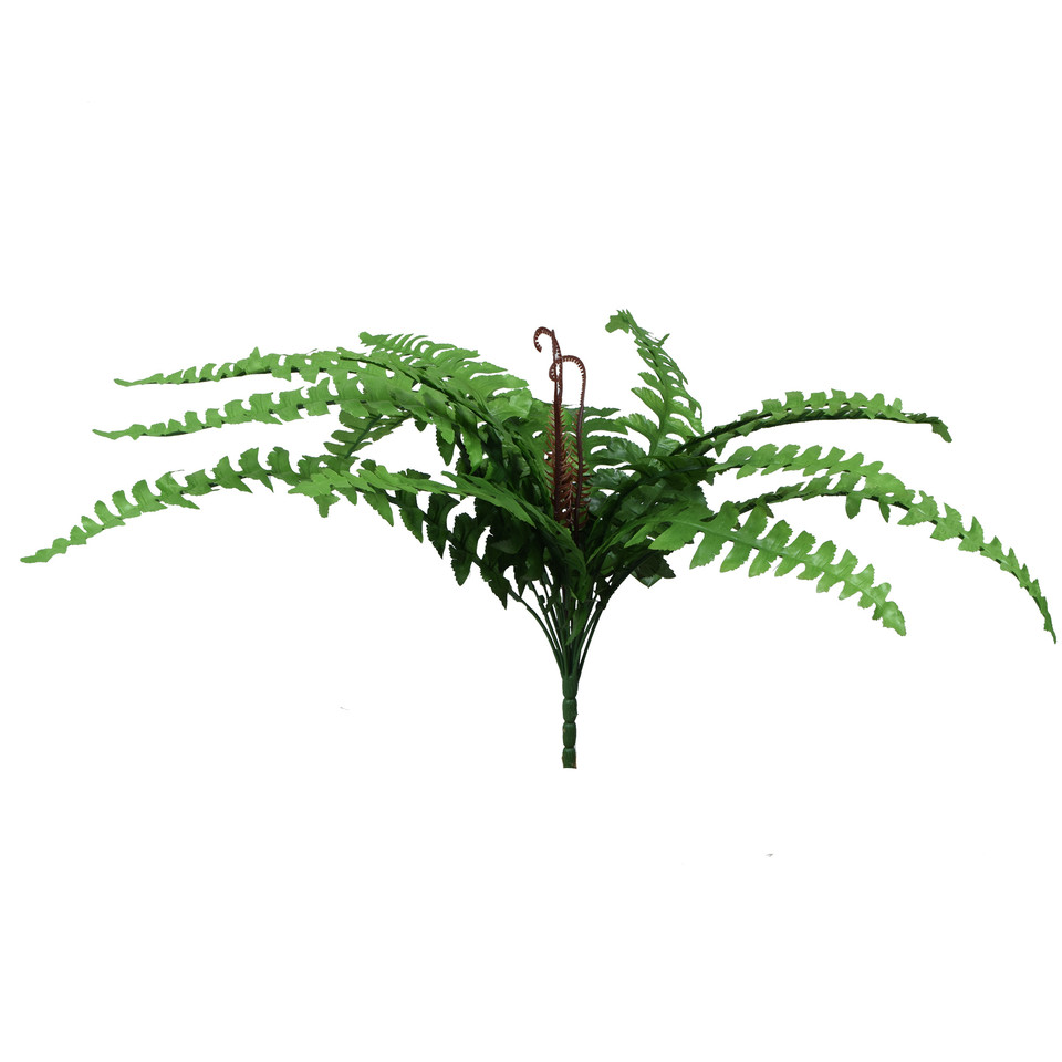 Paproć - bukiet 50 cm, green R586-00