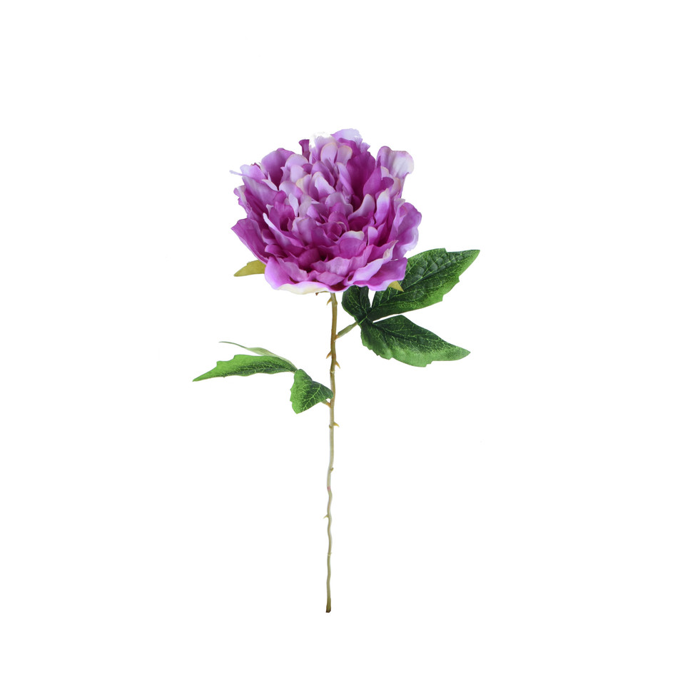 Peonia - gałązka 57 cm, m K417-m