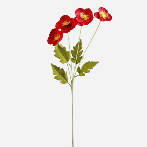 Anemone x 4, Red G508-15