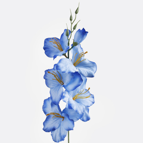 Gladiolus satin, Sapphire Blue G190A-40