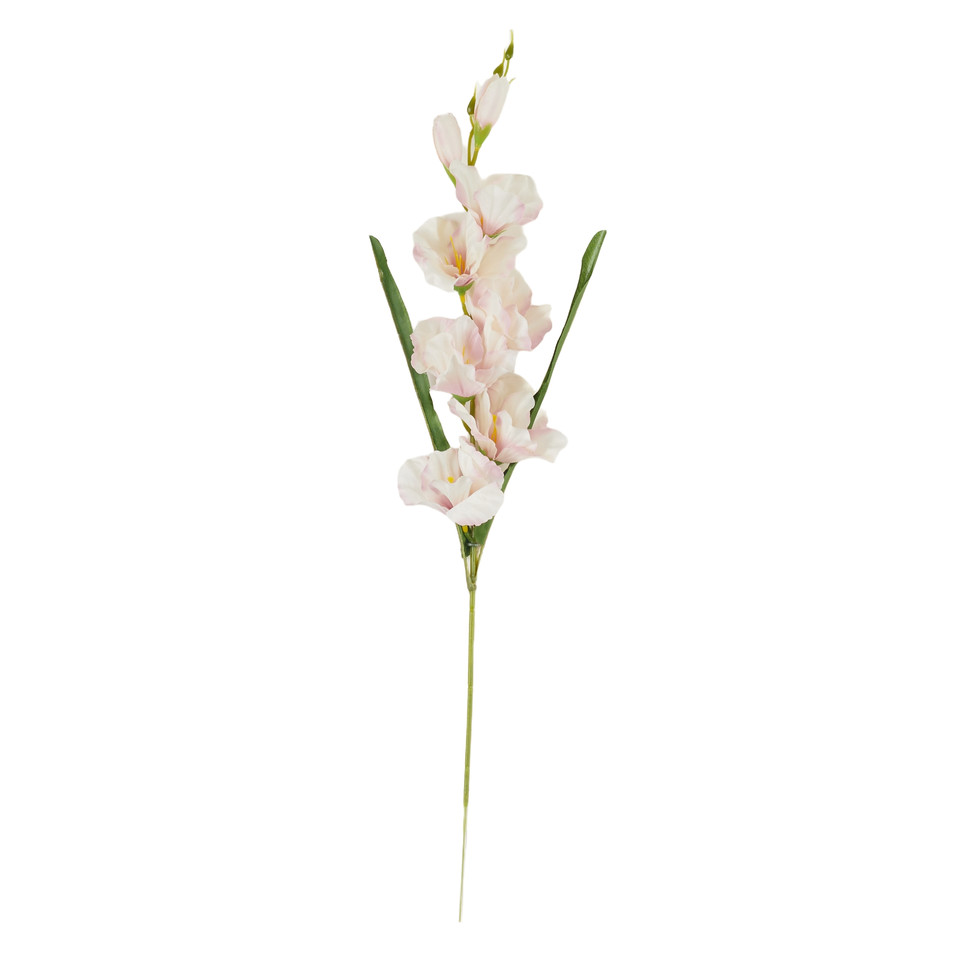 Mieczyk - gałązka 63 cm, 18 cream pink AL182-17