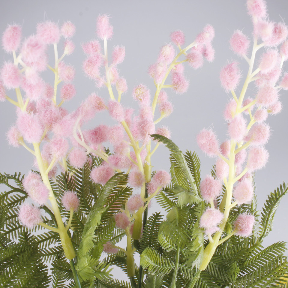 Mimoza bukiet x 5, Lt. Pink A723-05