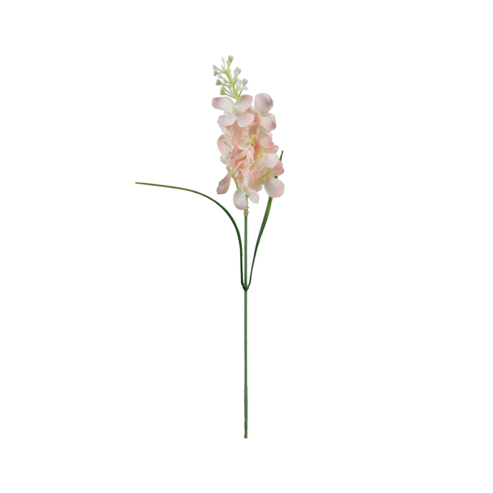Hiacynt - pik 36 cm, m DK077E-m