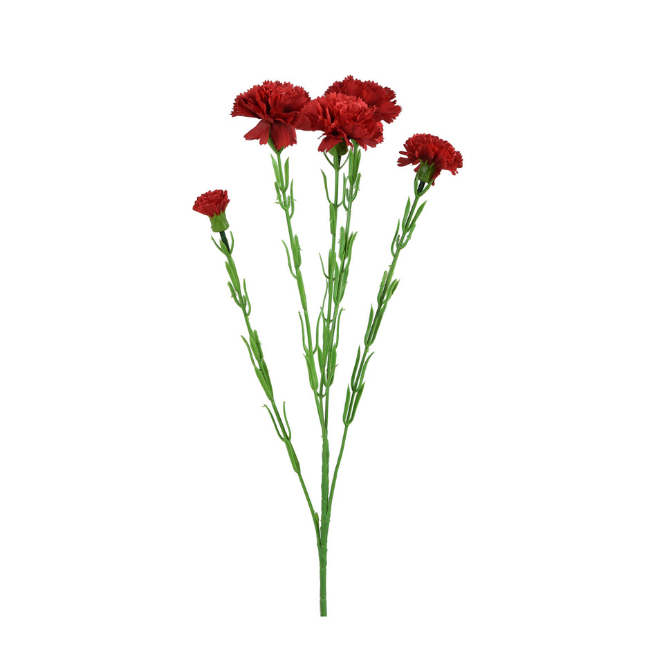 Goździk - gałązka 60 cm, m3 GK139-m3