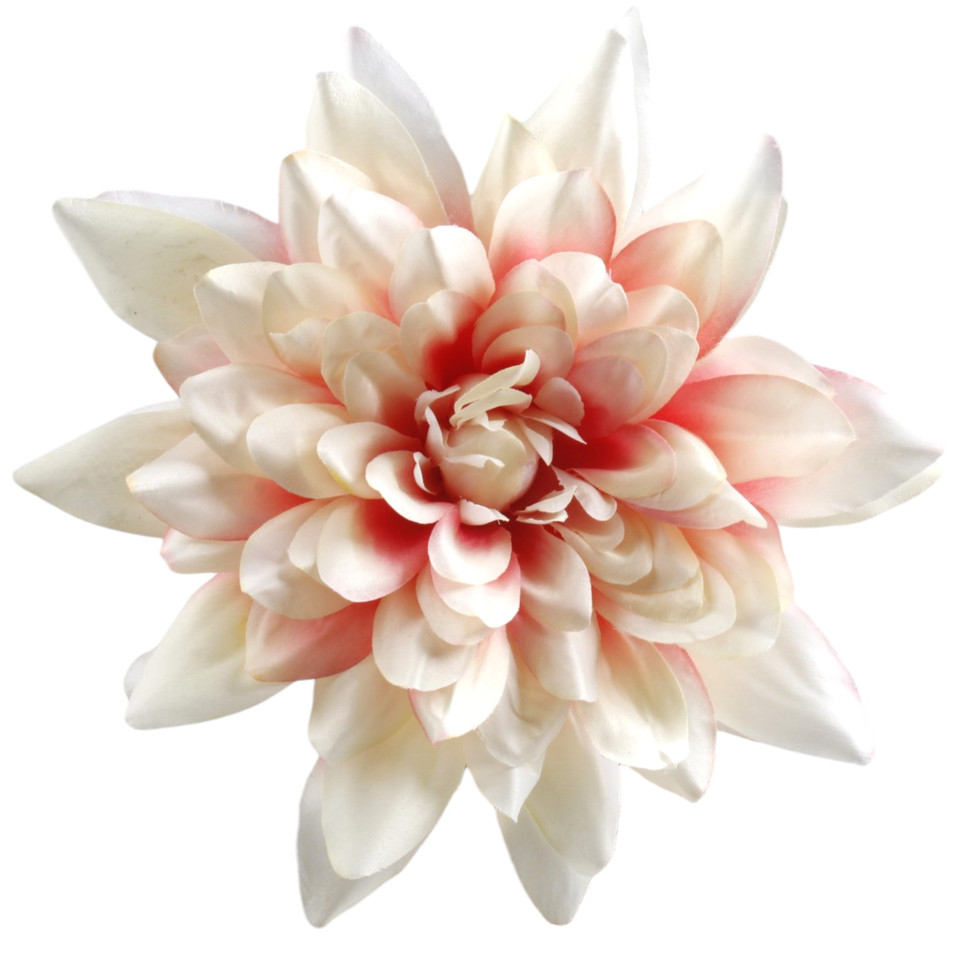 Dalia, Cream/Lt. Pink W170-08