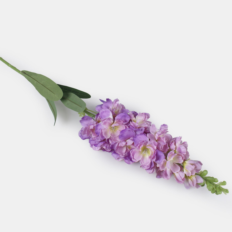 Delphinium, Violet L019-05