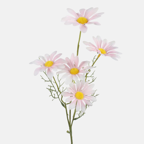 Daisy, Pink G480-03