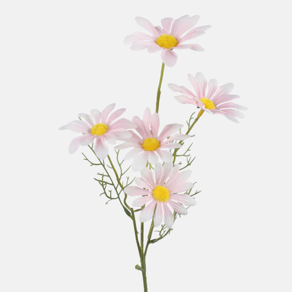 Daisy, Pink G480-03