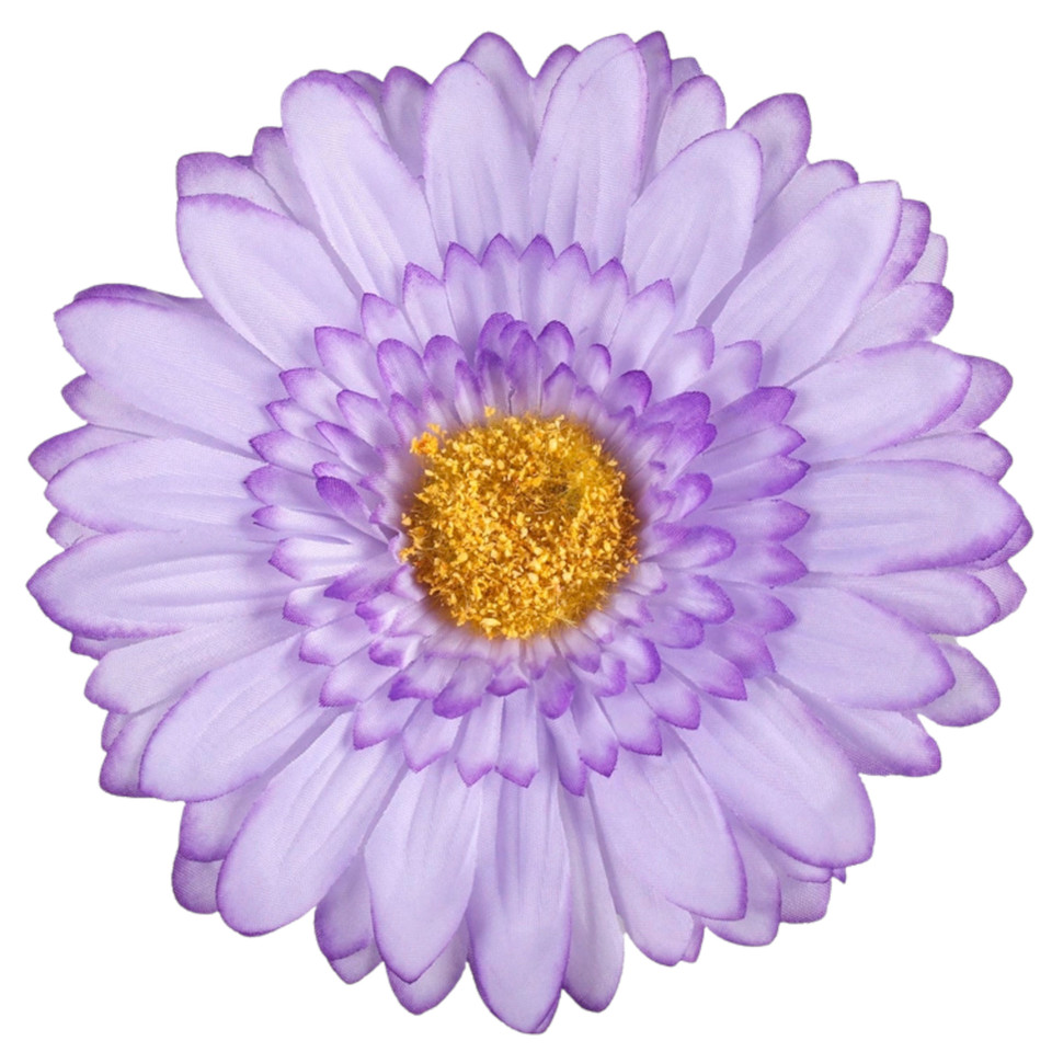 Gerber - główka 15 cm, lt. lilac edge W189-26