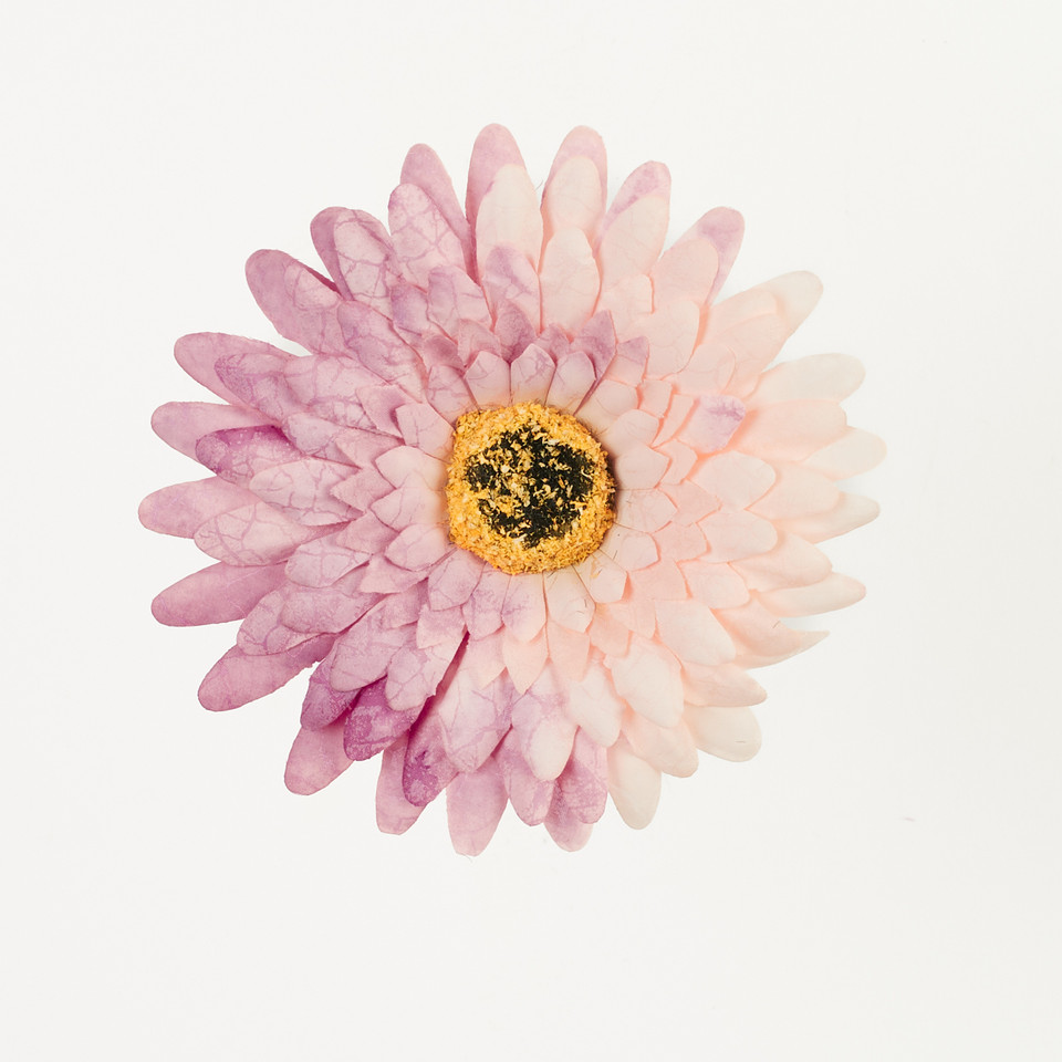 Gerbera – główka drukowana, tt.pink B75-08