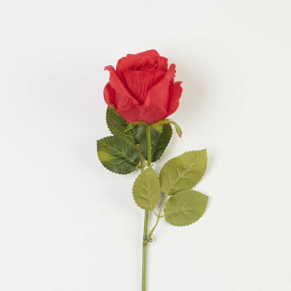 Róża – gałązka, pure red B08-012